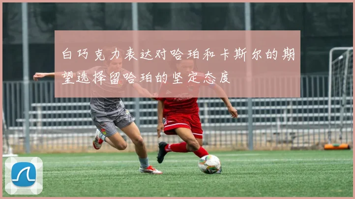 白巧克力表达对哈珀和卡斯尔的期望选择留哈珀的坚定态度
