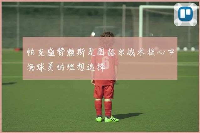 帕克盛赞赖斯是图赫尔战术核心中场球员的理想选择