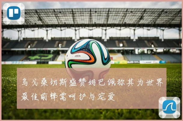 乌戈桑切斯盛赞姆巴佩称其为世界最佳前锋需呵护与宠爱